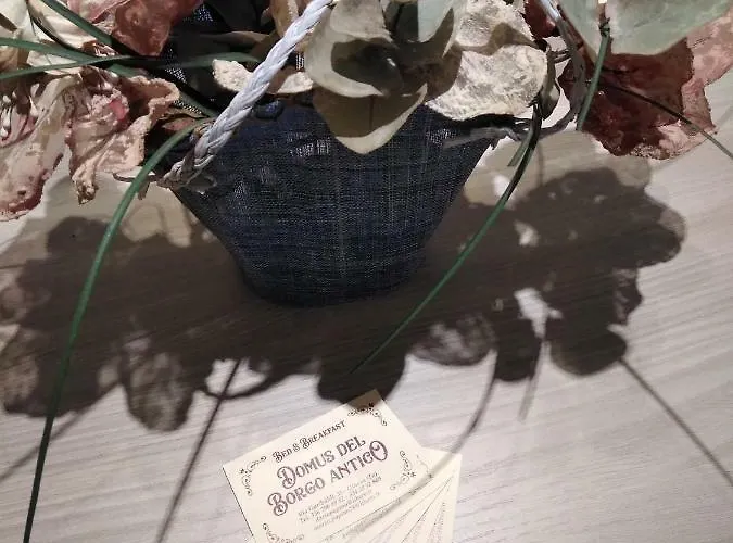 Bed & Breakfast Domus Del Borgo Antico